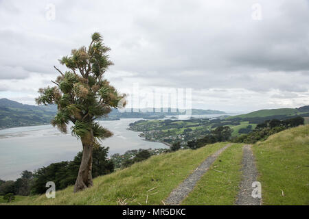 Dunedin, Otago, New Zealand-December 12,2016: Erhöhte Blick über die Halbinsel Otago mit Bergen und Landstraße in Dunedin, Neuseeland Stockfoto