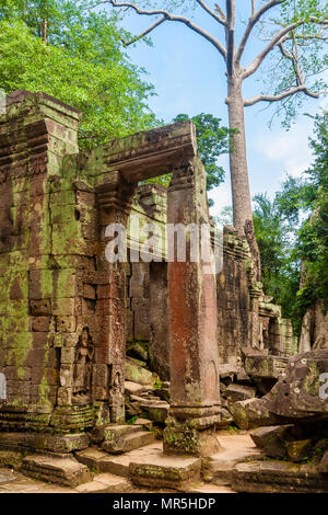 Eine rötliche Türrahmen mit Reliefs von Eingestürzten Steine in der berühmten Ta Prohm Tempel Ruinen in Angkor, Siem Reap, Kambodscha umgeben ruinieren. Stockfoto