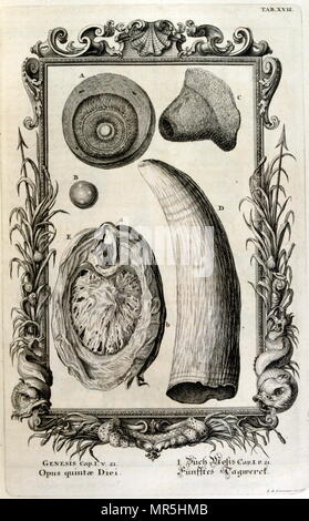 Kupferstich von "Physica sacra" von Schweizer Gelehrter, Johann Jakob Scheuchzer (1672-1733). Scheuchzer glaubte, dass das Alte Testament eine sachliche Darstellung der menschlichen Geschichte & natürlichen Leben. Physica sacra ist eine Zusammenstellung von Kunst, Wissenschaft und Spiritualität. Scheuchzer verwendet die Bibel als Referenz für die Beschreibung der natürlichen Welt. Physica sacra ist auch als Kupfer-Bibel, die übersetzt "Kupfer Bibel." Die Skizzen von Johann Melchior Fussli&a Anzahl der Graveure auf der Compilation arbeitete durchgeführt wurden. Ursprünglich im Jahre 1731 veröffentlicht wurde, verfügt es über 700 Kupfer Platte Gravuren Stockfoto