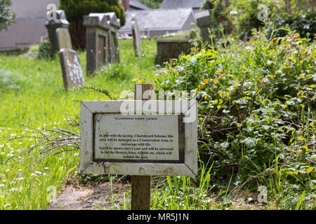 Anmelden St Stephen's Kirche Friedhof, Llansteffan, Carmarthenshire über Leben Kirchhof Regelung Stockfoto