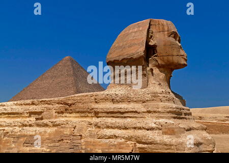 Die Große Sphinx von Gizeh. Kalkstein Statue eines liegenden Sphinx, ein Fabelwesen mit dem Körper eines Löwen und den Kopf eines Menschen. Direkt gegenüber von Westen nach Osten, es steht auf dem Plateau von Gizeh am Westufer des Nils in Gizeh, Ägypten. Das Antlitz der Sphinx wird allgemein angenommen, die den Pharao Khafre zu vertreten. Ausschneiden aus dem Gestein, die ursprüngliche Form des Sphinx wurde wiederhergestellt. Er misst 238 Fuß (73 m) lang (ca. 2558-2532 v. Chr.). Stockfoto