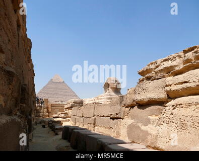 Die Große Sphinx von Gizeh gegen die Pyramide des Cheops. Kalkstein Statue eines liegenden Sphinx, ein Fabelwesen mit dem Körper eines Löwen und den Kopf eines Menschen. Direkt gegenüber von Westen nach Osten, es steht auf dem Plateau von Gizeh am Westufer des Nils in Gizeh, Ägypten. Das Antlitz der Sphinx wird allgemein angenommen, die den Pharao Khafre zu vertreten. Ausschneiden aus dem Gestein, die ursprüngliche Form des Sphinx wurde wiederhergestellt. Er misst 238 Fuß (73 m) lang (ca. 2558-2532 v. Chr.). Stockfoto