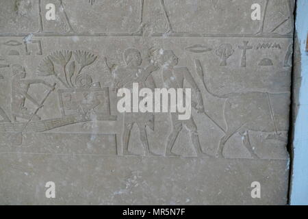 Kalkstein Relief aus dem Grab eines unbekannten Edel. In Meidum, meidum oder Meidum, Ägypten gefunden. 3. Dynastie. 2600 v. Chr. Stockfoto