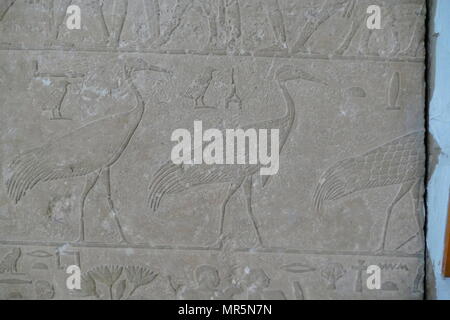 Kalkstein Relief aus dem Grab eines unbekannten Edel. In Meidum, meidum oder Meidum, Ägypten gefunden. 3. Dynastie. 2600 v. Chr. Stockfoto