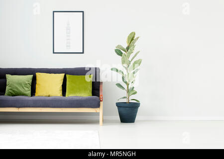 Ficus Baum neben Schwarz Sofa mit grünen und gelben Kissen in Wohnzimmer Interieur mit Plakat und Kopie Raum Stockfoto