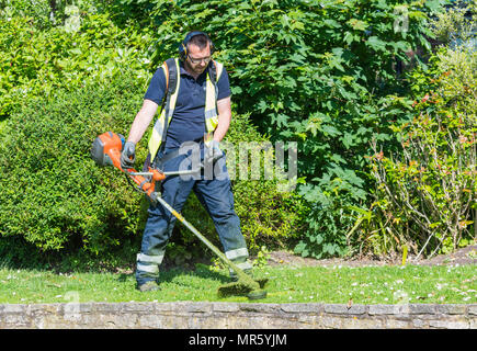 Mann strimming Gras mit einem STRIMMER/Trimmer im späten Frühjahr in einem Park in Großbritannien. Stockfoto