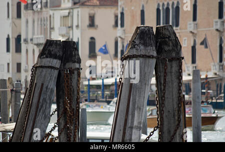 Selektiver Fokus auf Holz- Beiträge aus Europäischer Eiche in den Canal Grande, Venedig, Italien Stockfoto