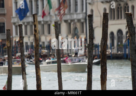 Selektiver Fokus auf Holz- Beiträge aus Europäischer Eiche in den Canal Grande, Venedig, Italien Stockfoto