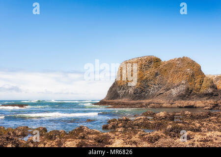 Geologische Merkmale der Cobble Strand bei Yaquina Head State Park, Newport, Oregon Stockfoto