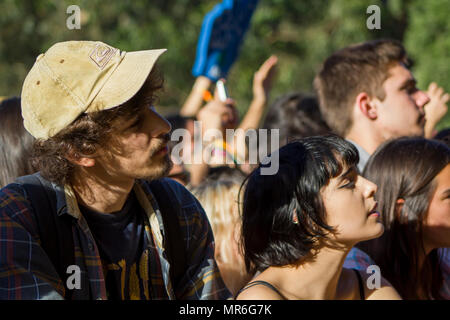 Leute, die sich ein Konzert an einem Musik Festival Stockfoto