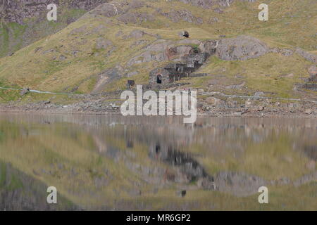 Llyn Lladaw an Snowdon, North Wales Stockfoto