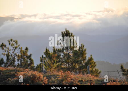 Wolken Bergrücken der Cordillera Landschaft während am frühen Morgen vom Mount Ulap während unserer Wanderung auf der ECO-gesehen-TRAIL. Stockfoto