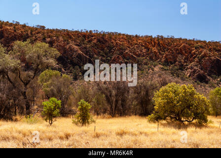 Jessie Gap Naturpark im East MacDonnell Ranges in der Nähe von Alice Springs, Northern Territories, Australien Stockfoto