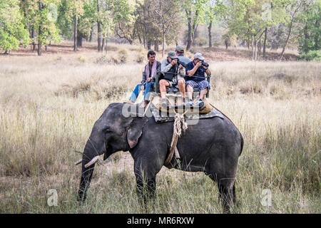 Mahout und Touristen fotografieren auf einem asiatischen oder indischen Elefanten, Bandhavgarh Nationalpark, Tala, Madhya Pradesh, Indien Stockfoto