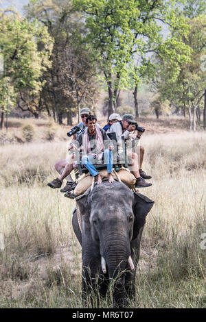 Mahout und Touristen fotografieren auf einem asiatischen oder indischen Elefanten, Bandhavgarh Nationalpark, Tala, Madhya Pradesh, Indien Stockfoto