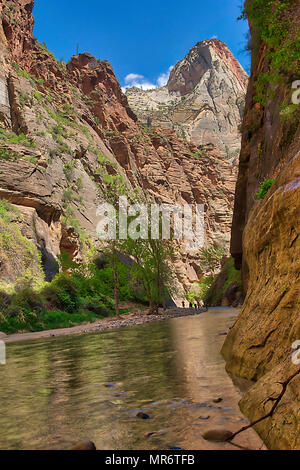 Eingang zu den Narrows in Zion National Park. Wanderer müssen NUR DANN weiter zu Fuß bis in den Fluss. Stockfoto