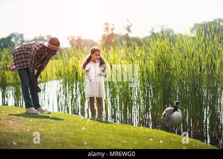 Afrikanische amerikanische Enkelin und ihr Großvater füttern Gans auf Teich im Park Stockfoto