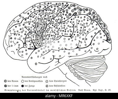 Karte von Nerv Bundles im menschlichen Gehirn durch Paul Broca. Paul Broca (1824-1880), ein französischer Arzt, Anatom und Anthropologe. Vom 19. Jahrhundert Stockfoto