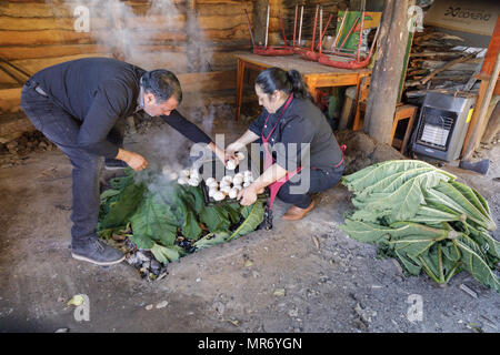 Ancud, Chiloé, Chile: Vorbereitung eines traditionellen Chiloé curanto, in denen Fleisch, Kartoffeln, Knödel und Muscheln kochen in den Boden über hot rocks. Stockfoto
