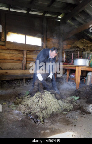Ancud, Chiloé, Chile: Vorbereitung eines traditionellen Chiloé curanto, in denen Fleisch, Kartoffeln und Schalentieren in den Boden über hot rocks gekocht sind, abgedeckt Stockfoto