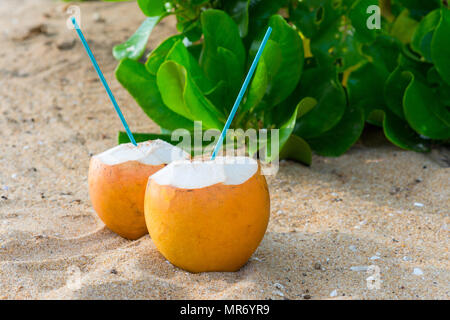 Köstliche Cocktails in Kokosnüsse auf sandigen tropischen Strand Stockfoto