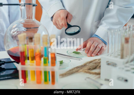 7/8-Ansicht der männlichen Biologe arbeiten mit Blätter und Petrischalen in chemischen Labors Stockfoto