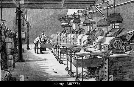 Kupferstich mit der Darstellung der Röstung der Kakaobohnen bei Fry's Kakao- und Schokoladenfabrik, Bristol. Vom 19. Jahrhundert Stockfoto