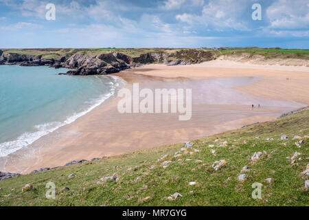 Trevallen Broad Haven South Pembroke Pembrokeshire Wales Stockfoto