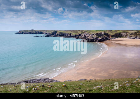 Trevallen Broad Haven South Pembroke Pembrokeshire Wales Stockfoto