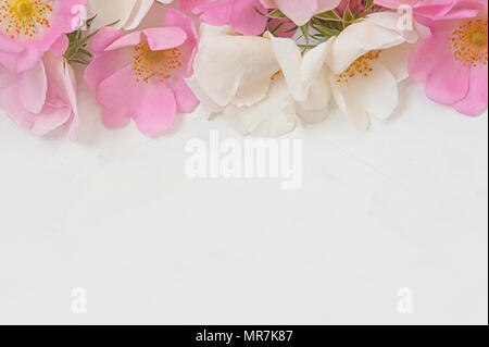 Blumen Komposition. Rahmen aus rosa Rose Blumen auf weißem Holz- Hintergrund. Flach, Ansicht von oben, kopieren. Stockfoto