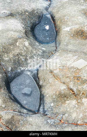 Nahaufnahme der natürlichen Taschen in geologische Besonderheit mit zwei ähnlich geformten Kopfsteinpflaster am Cobble-nebenfluStrand bei Yaquina Head State Park in Newport, Erz gefüllt Stockfoto