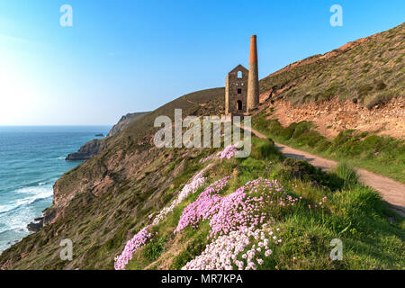 Alte Zinnmine in der Nähe von Chapel porth in Cornwall, England, Großbritannien, Stockfoto