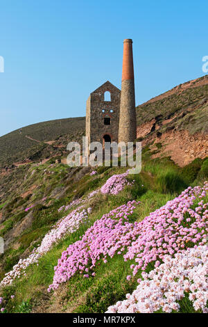 Alte Zinnmine in der Nähe von Chapel porth in Cornwall, England, Großbritannien, Stockfoto