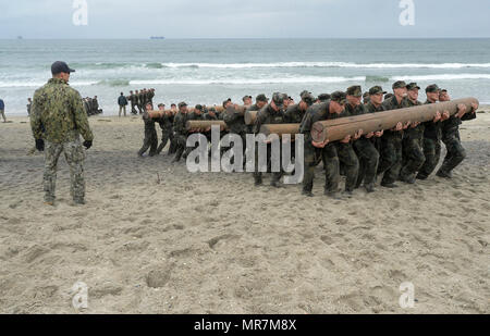 170510-N-GT 710-019 Coronado, Kalifornien (10. Mai 2017) Basic Underwater Demolition/DICHTUNG Studenten in einem Team building beteiligen. Die Ausbildung erfolgt an der Naval Special Warfare Grundausbildung Befehl in Coronado, Kalifornien (USA Marine Foto von Mass Communication Specialist 1. Klasse Lawrence Davis/Freigegeben) Stockfoto