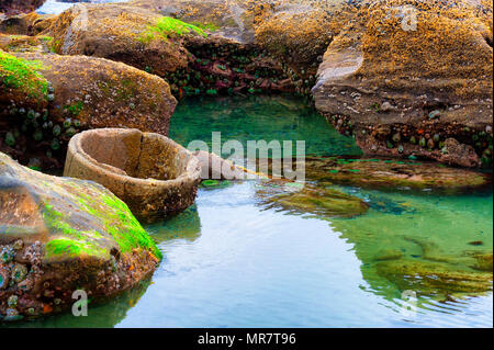 Ein Zement Rohr ragt aus Sand in einer tide pool an der Küste von Oregon. Stockfoto