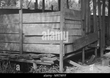 Holz- schwein Abschaltdruck Stockfoto