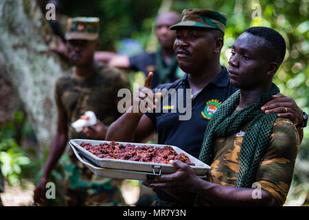 Ghana Streitkräfte Maj. Jakob Codjoe, Kommandant der Jungle Warfare School, stellt Python Fleisch während United Accord 2017 Jungle Warfare Schule in Achiase Militärbasis, Akim Oda, Ghana, 20. Mai 2017. Die Jungle Warfare School ist eine Reihe von situativen Übungen entwickelt, die Teilnehmer in die Train-Aufstand und die innere Sicherheit. (U.S. Armee Foto von SPC. Victor Perez Vargas) Stockfoto