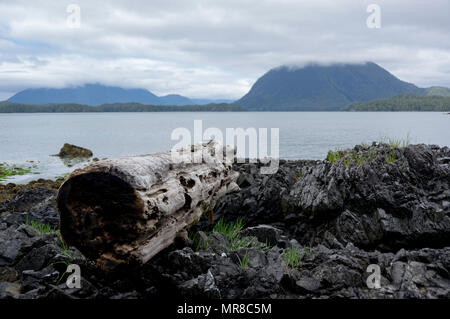 Clayoquot Insel bewahren in der nähe von Tofino, BC Kanada Stockfoto