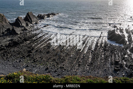 Einzigartige Struktur der Felsen bei Hartland Quay in North Devon Stockfoto