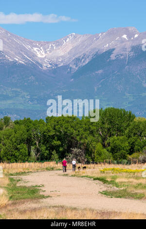 Paar ihre zwei Deutschen Schäferhunden zu Fuß auf einem zentralen Kolorado Ranch; Salida, Colorado, USA Stockfoto