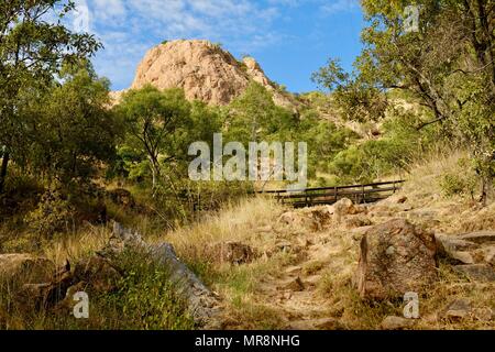 Holzbrücke über die cudtheringa Track bis Castle Hill, Castle Hill, QLD 4810, Australien Stockfoto