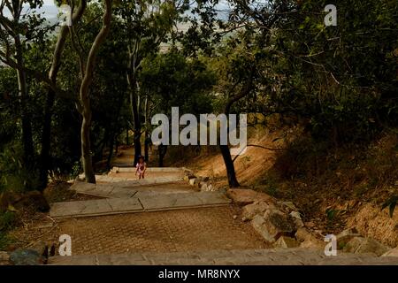 Junge Mädchen die Spaziergänge entlang der Cudtheringa Track, Castle Hill, QLD 4810, Australien Stockfoto