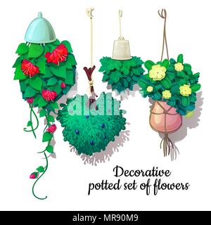 Satz von eingemachte Blumen nach unten wächst. Vector Illustration. Stock Vektor