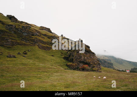 Schöne isländische Landschaft mit grünen felsige Hügel und Schafe weiden auf Gras Stockfoto