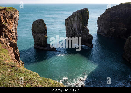 Stack Rocks St. Govans Landspitze Pembrokeshire Wales Stockfoto