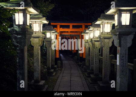 Torri Tore Fushimi Inari-taisha Tempel in Kyoto, Japan Stockfoto