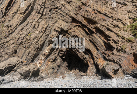 Einzigartige Struktur der Felsen bei Hartland Quay in North Devon Stockfoto