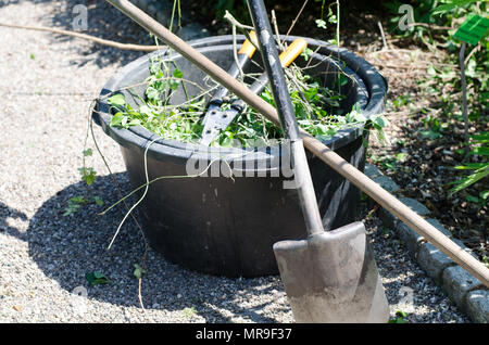 Gartengeräte - Schaufel, Gartenschere, Rechen und Schaufel Stockfoto