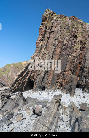 Einzigartige Struktur der Felsen bei Hartland Quay in North Devon Stockfoto