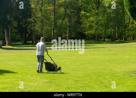 Man mähen eine große Rasenfläche mit Bäumen im Hintergrund Stockfoto